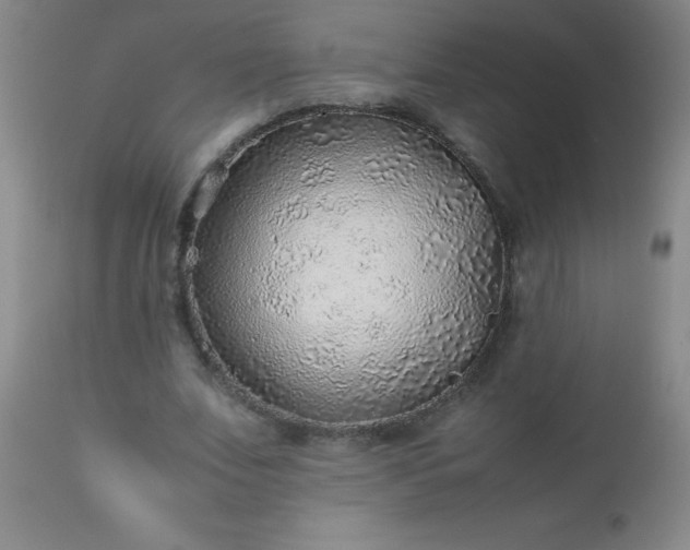 X0000113640679200910021917