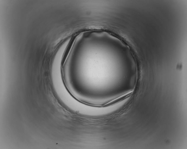 X0000113640681200910021917