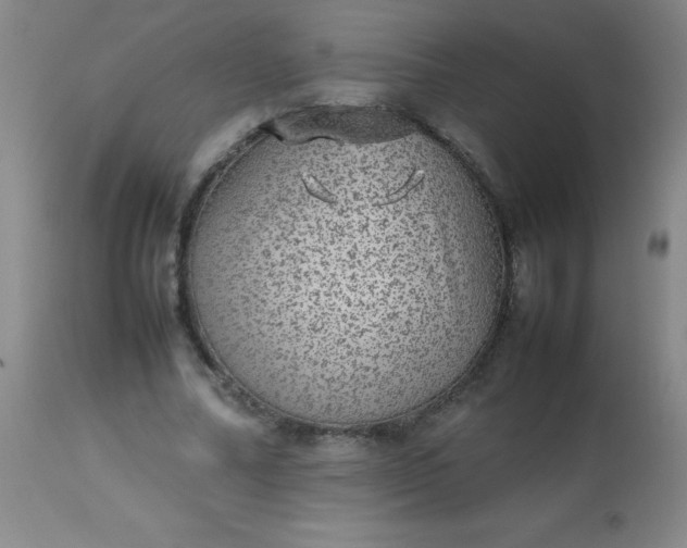 X0000113640682200910021917