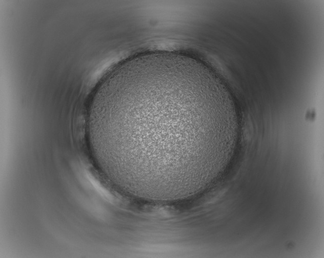 X0000113640683200910021917