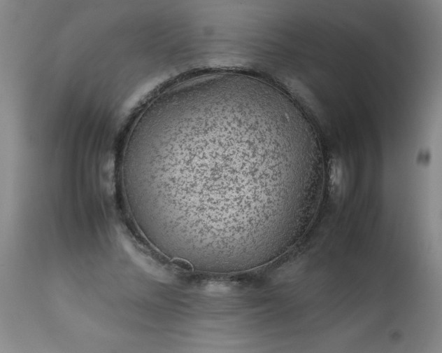 X0000113640684200910021917