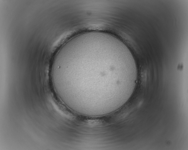 X0000113640686200910021917