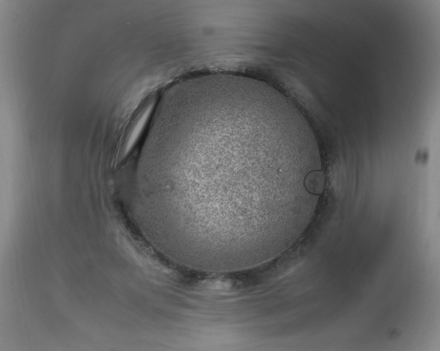 X0000113640687200910021917