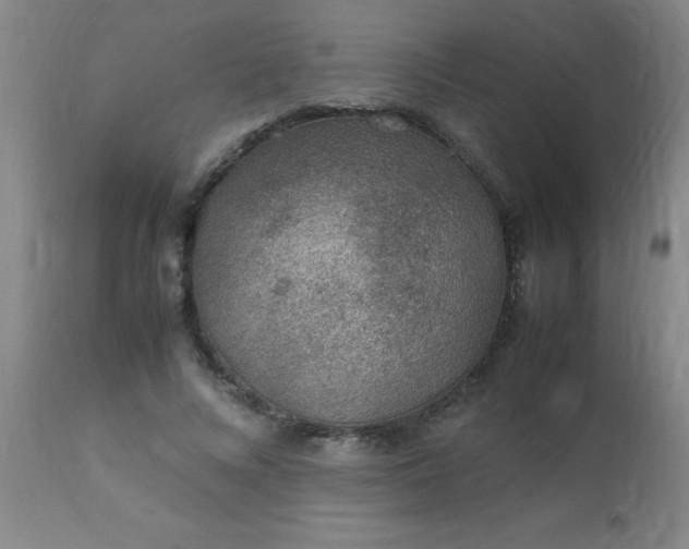 X0000113640688200910021917