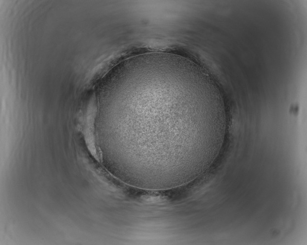 X0000113640689200910021917