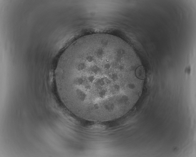 X0000113640691200910021917