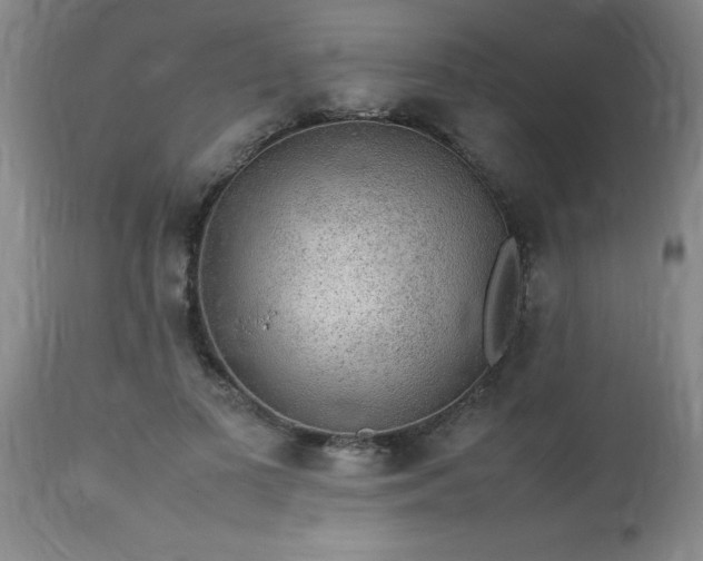 X0000113640693200910021917