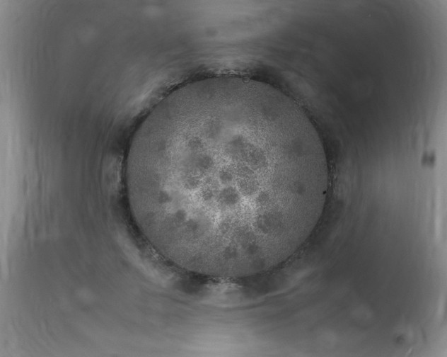 X0000113640695200910021917