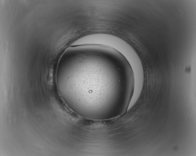 X0000113640696200910021917