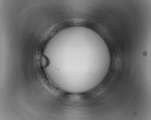 X0000113640698200910021917