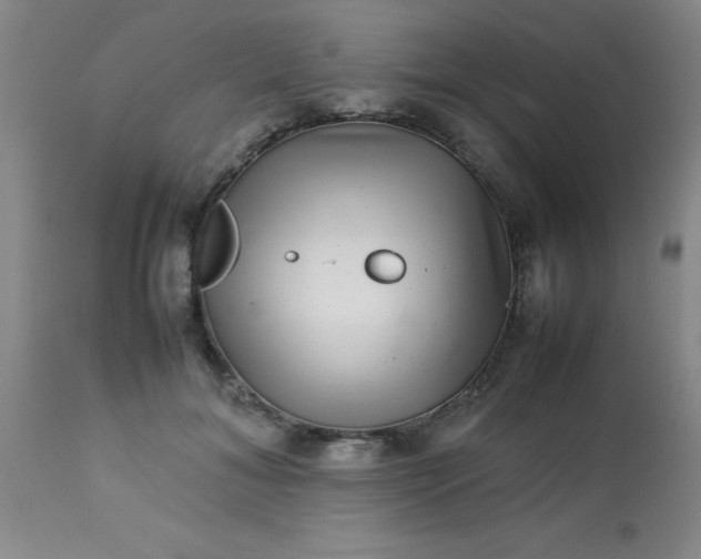 X0000113640700200910021917