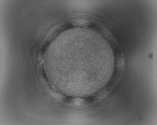 X0000113640701200910021917