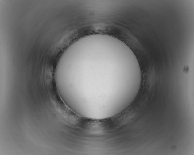 X0000113640702200910021917