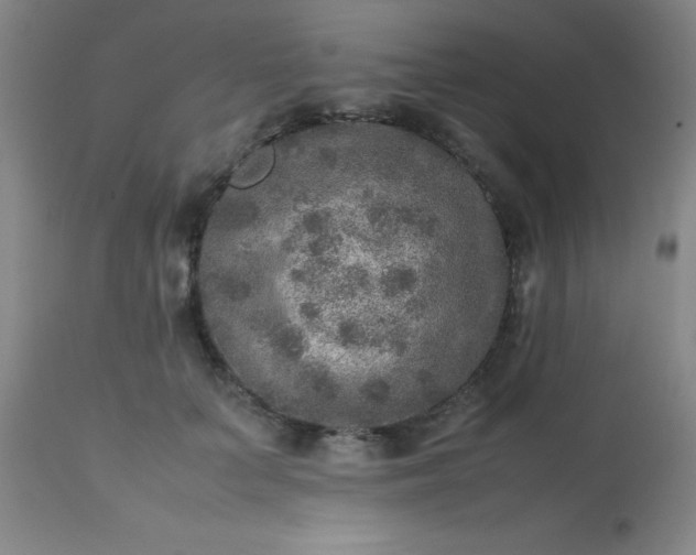 X0000113640703200910021917