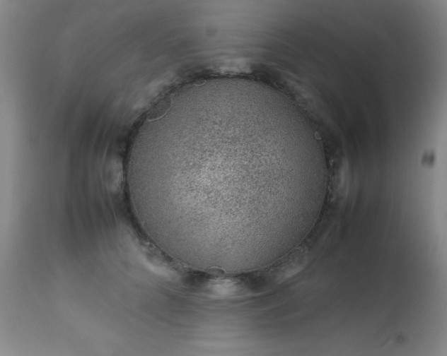 X0000113640704200910021917