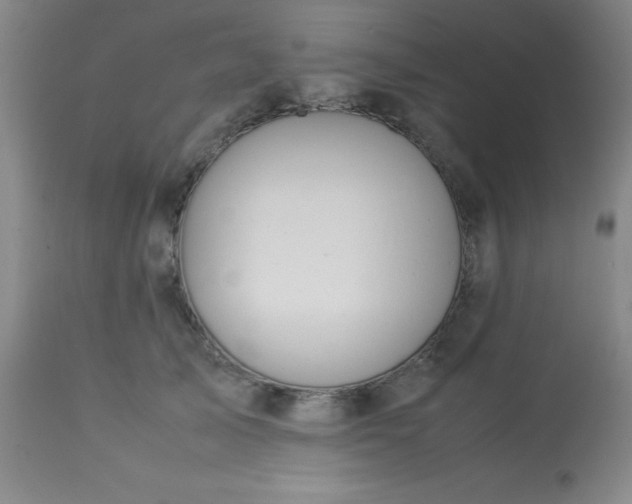 X0000113640705200910021917