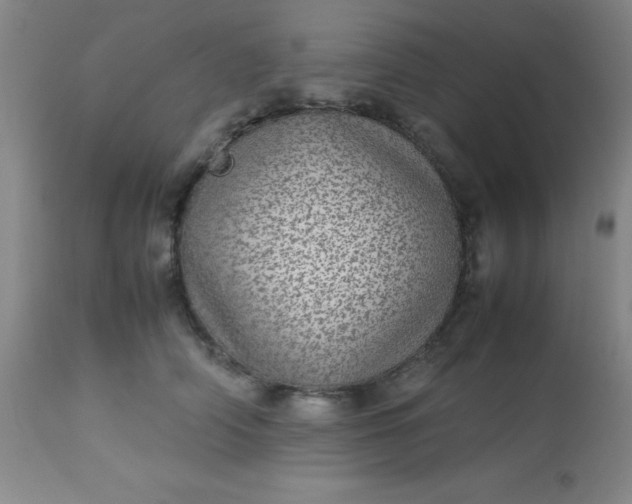 X0000113640706200910021917