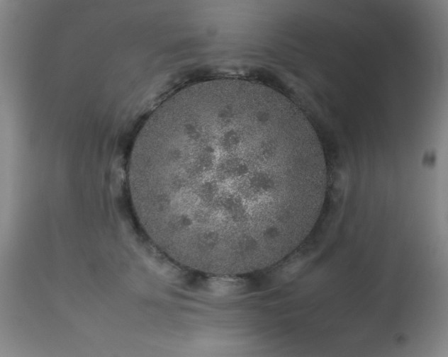 X0000113640707200910021917