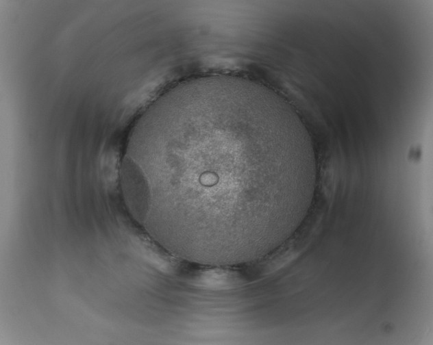 X0000113640708200910021917