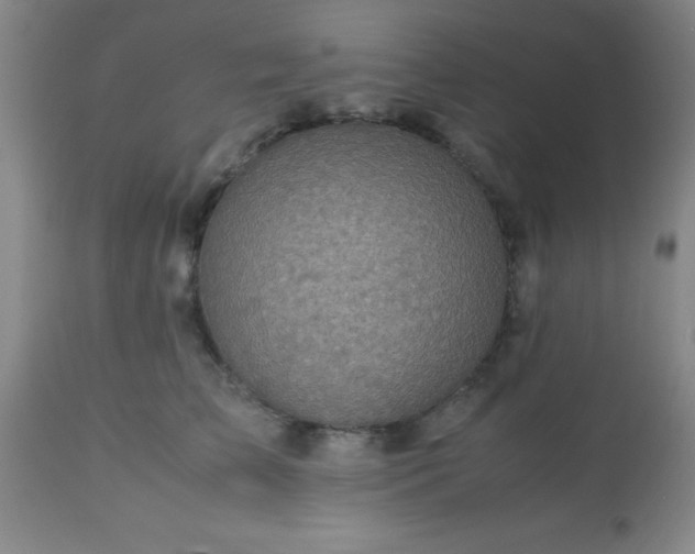 X0000113640709200910021917