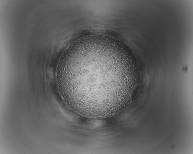 X0000113640711200910021917