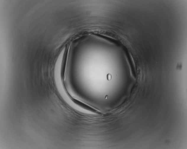 X0000113640712200910021917