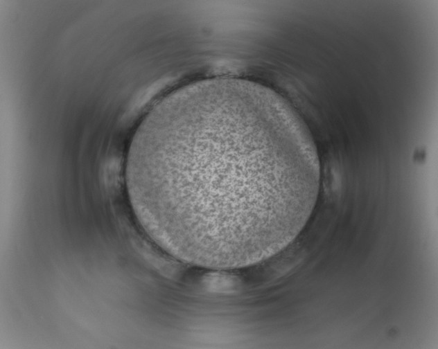 X0000113640714200910021916