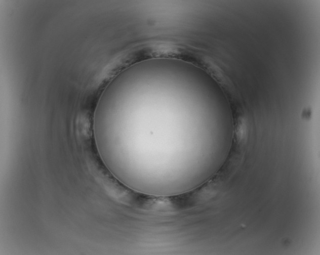 X0000113640715200910021916