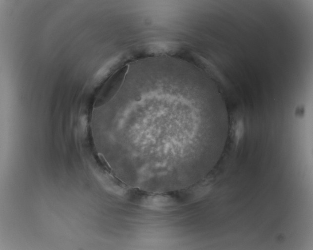 X0000113640716200910021916