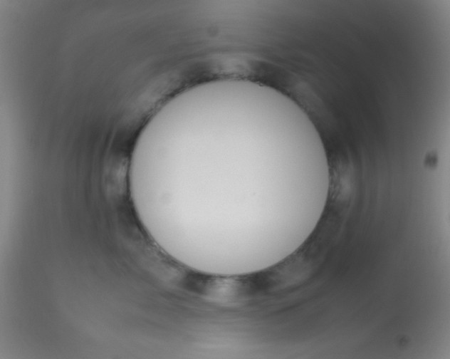 X0000113640717200910021916