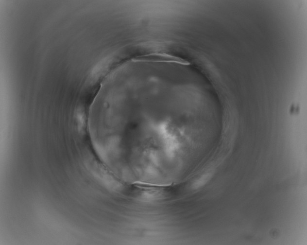 X0000113640720200910021916