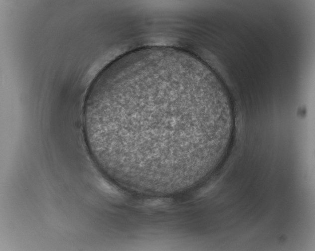 X0000113640721200910021916