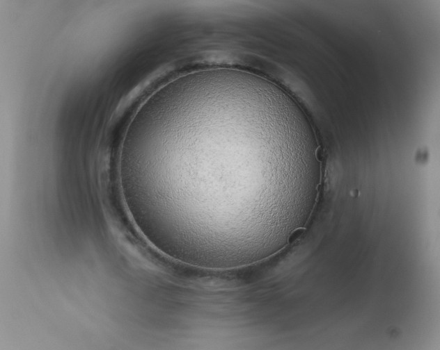 X0000113640722200910021916