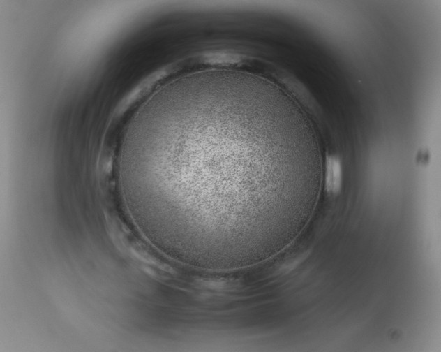 X0000113640723200910021916