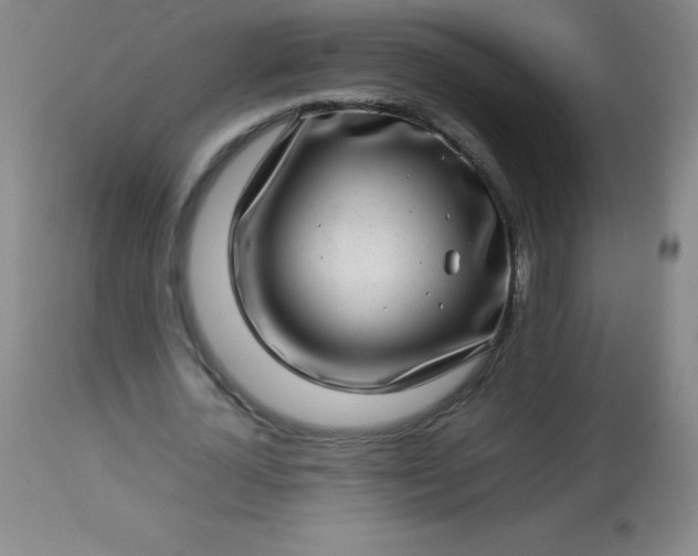 X0000113640724200910021916