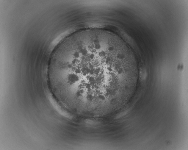 X0000113640725200910021916