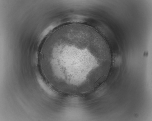 X0000113640726200910021916