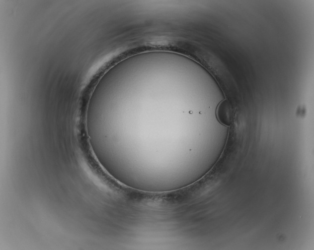 X0000113640728200910021916