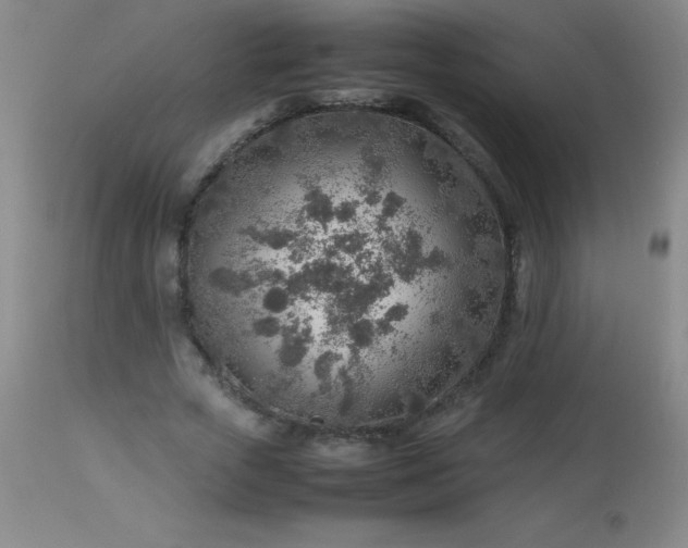 X0000113640729200910021916