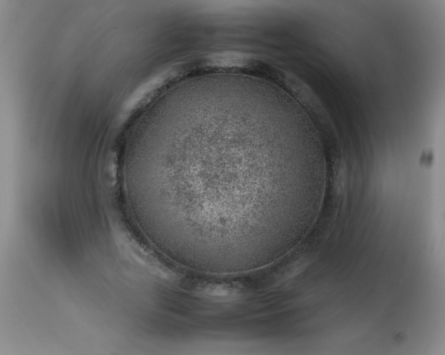 X0000113640731200910021916