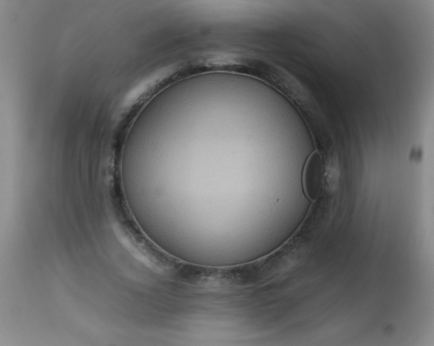 X0000113640732200910021916