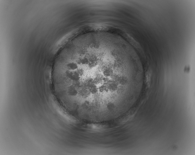 X0000113640733200910021916