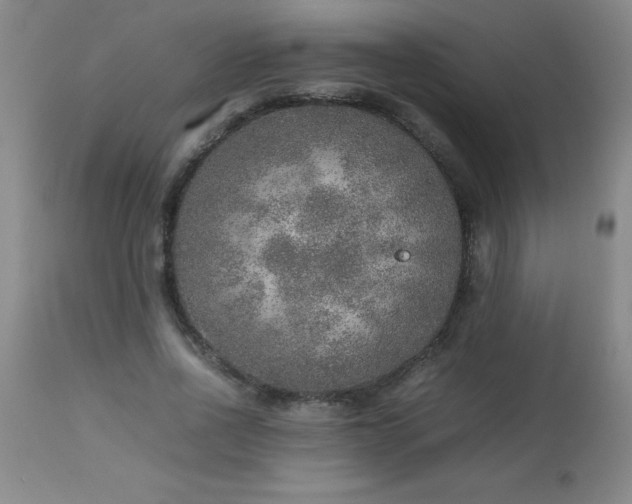 X0000113640734200910021916