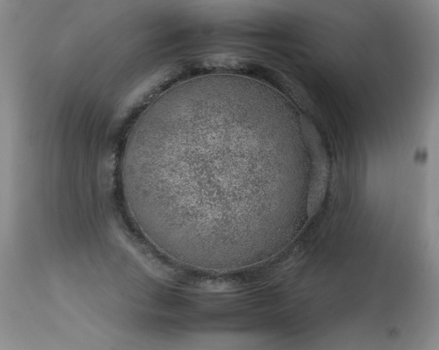 X0000113640735200910021916