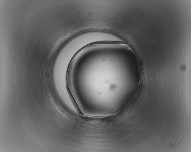 X0000113640736200910021916