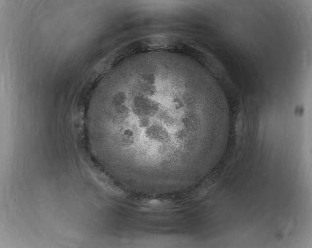 X0000113640737200910021916