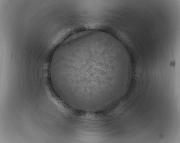 X0000113640738200910021916