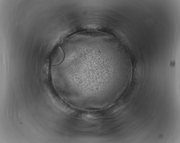 X0000113640739200910021916