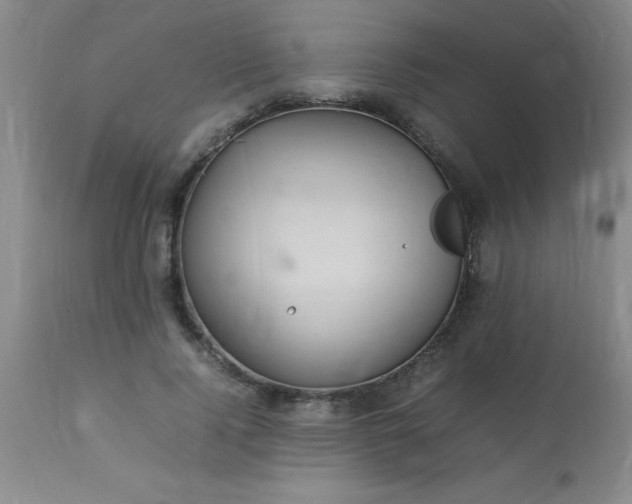 X0000113640740200910021916