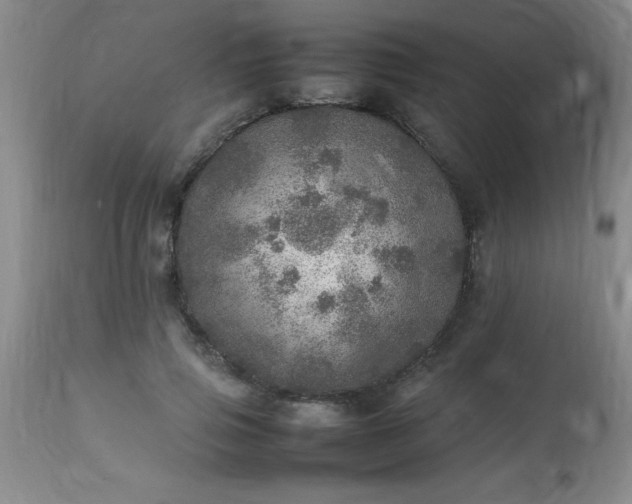 X0000113640741200910021916